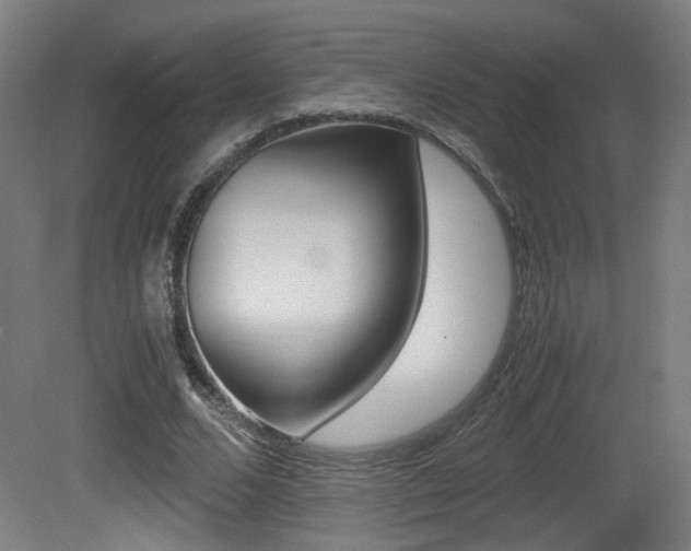 X0000081350680200701111107