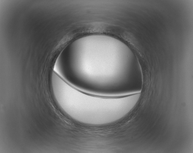 X0000081350681200701111106