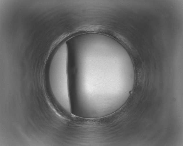 X0000081350682200701111106