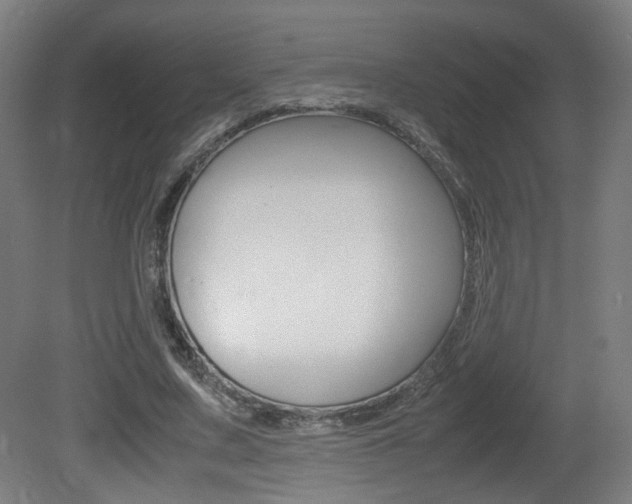 X0000081350683200701111106