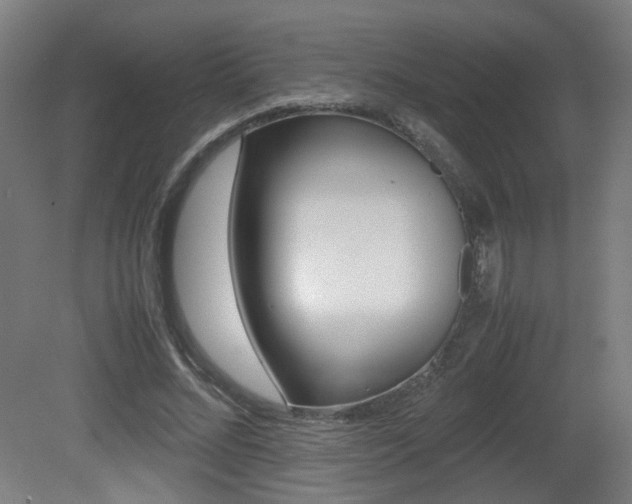 X0000081350684200701111106