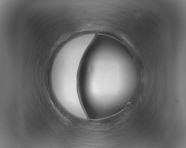 X0000081350685200701111106
