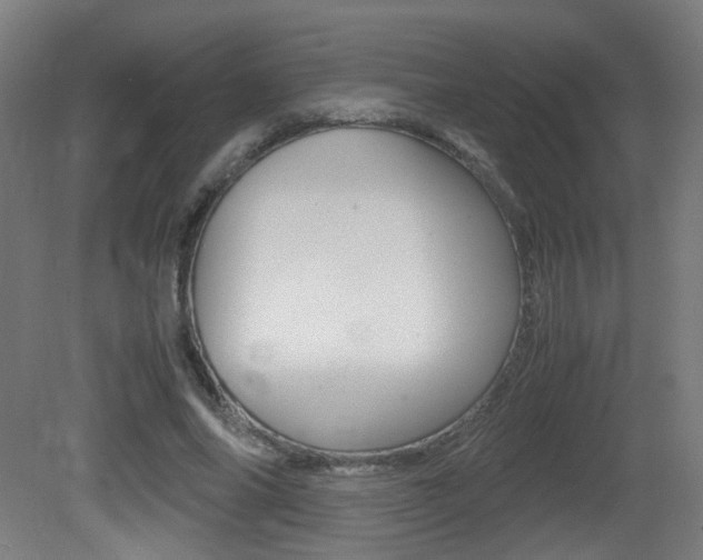 X0000081350686200701111106