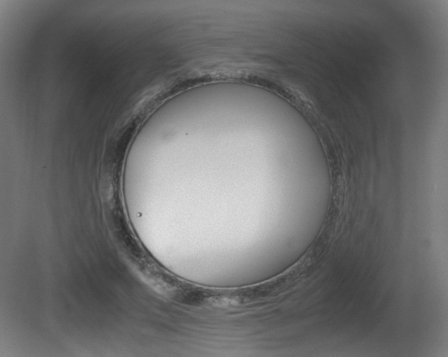 X0000081350687200701111106