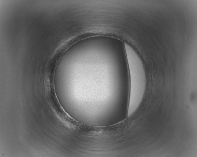 X0000081350688200701111106