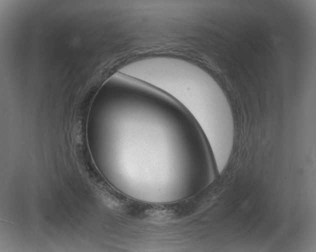 X0000081350689200701111106