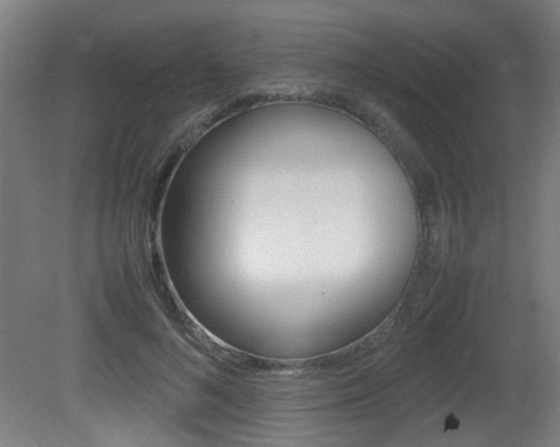 X0000081350692200701111106