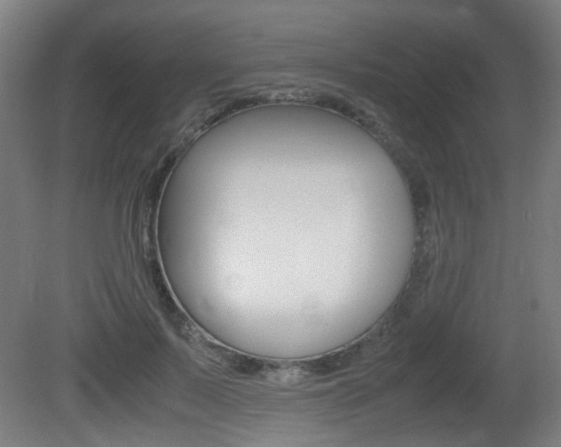 X0000081350695200701111106