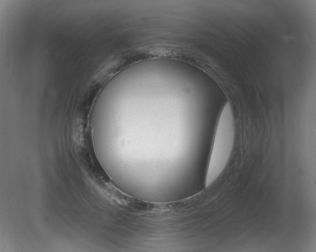 X0000081350696200701111106