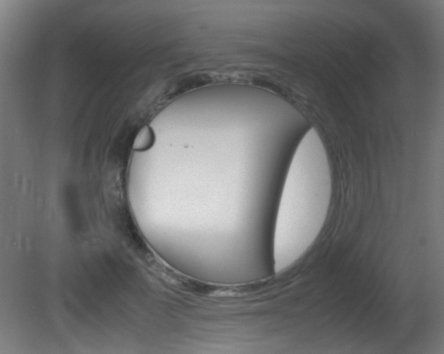 X0000081350699200701111106