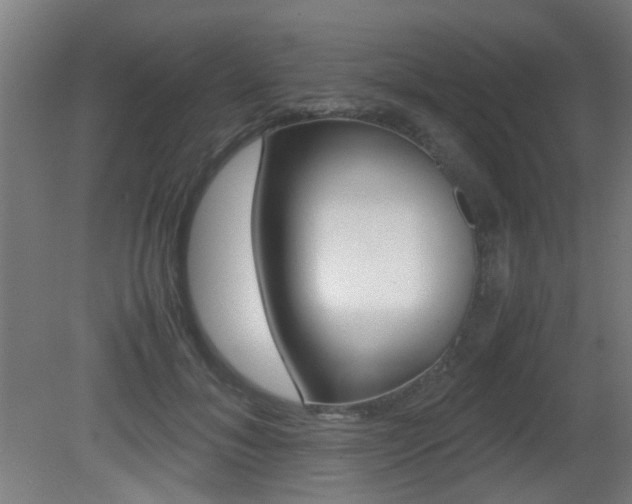 X0000081350700200701111106