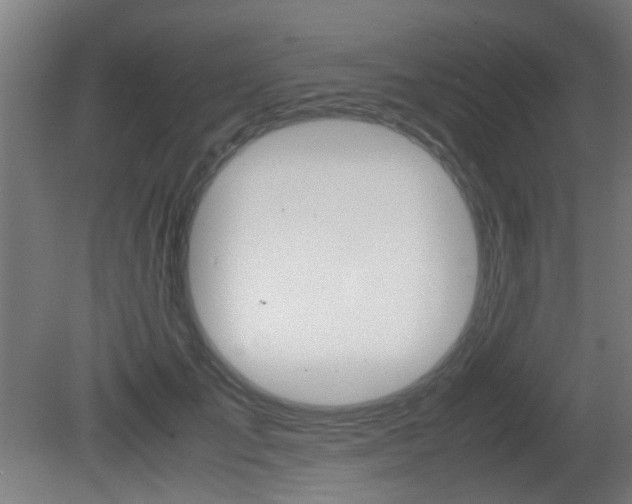 X0000081350701200701111106