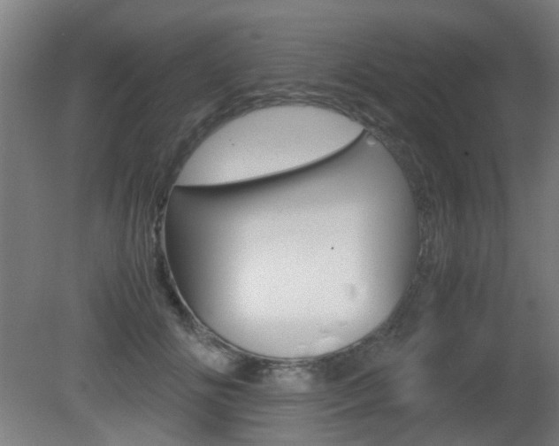 X0000081350702200701111106