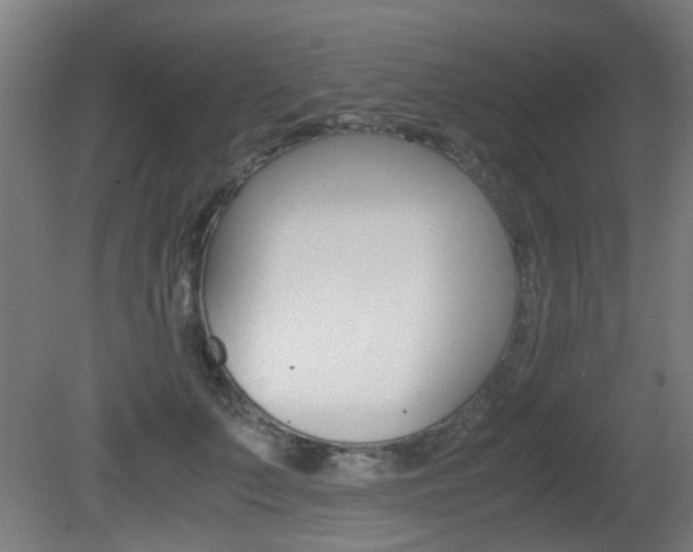 X0000081350703200701111106