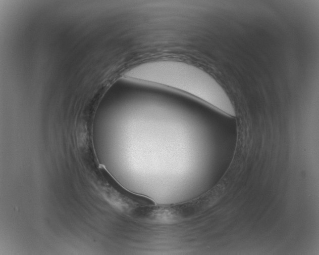 X0000081350704200701111106