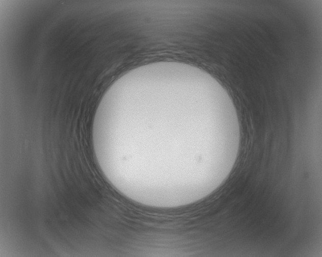 X0000081350705200701111106