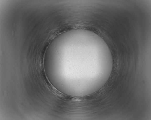 X0000081350706200701111106