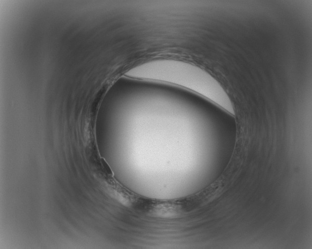 X0000081350708200701111106