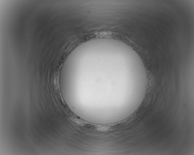 X0000081350709200701111106