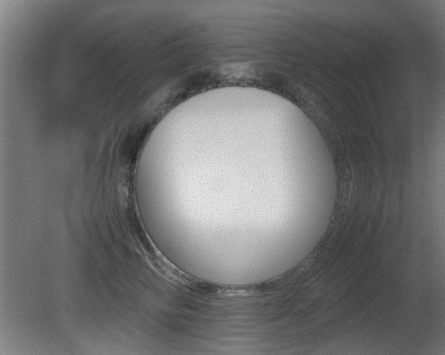 X0000081350710200701111106