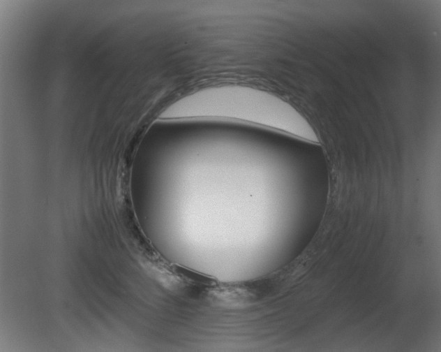 X0000081350712200701111106