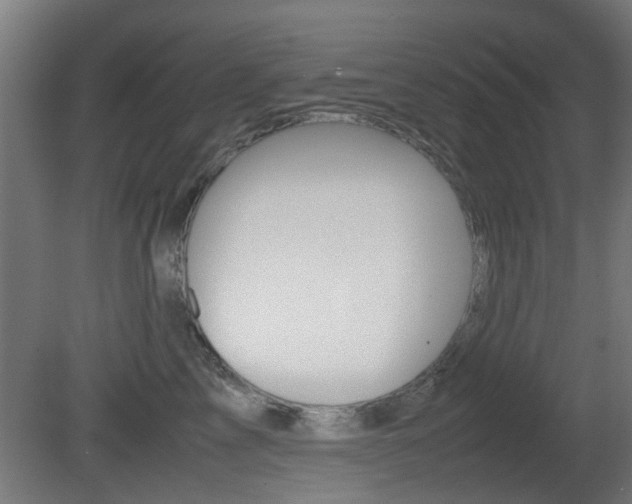 X0000081350713200701111106