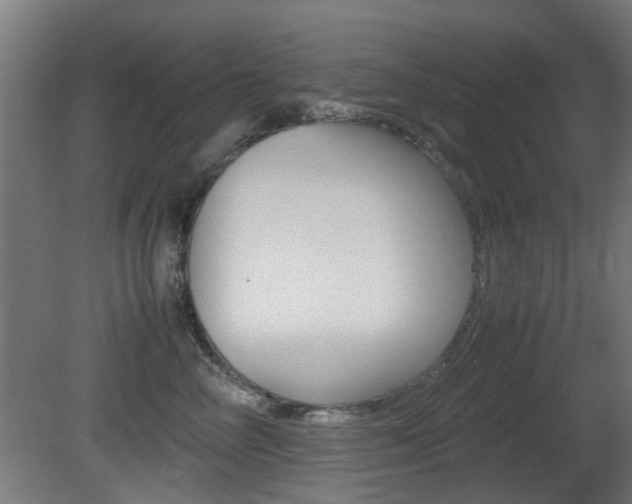 X0000081350714200701111106