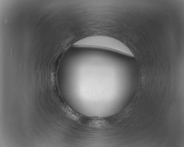 X0000081350716200701111106