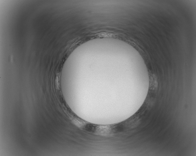 X0000081350717200701111106