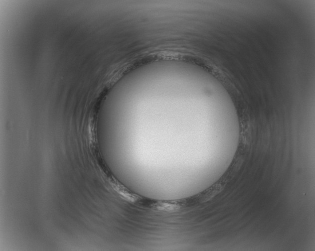 X0000081350718200701111106