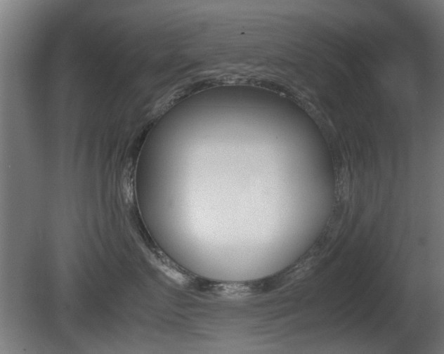 X0000081350719200701111106