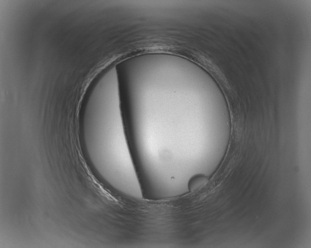 X0000081350721200701111105