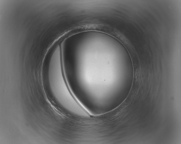 X0000081350722200701111105