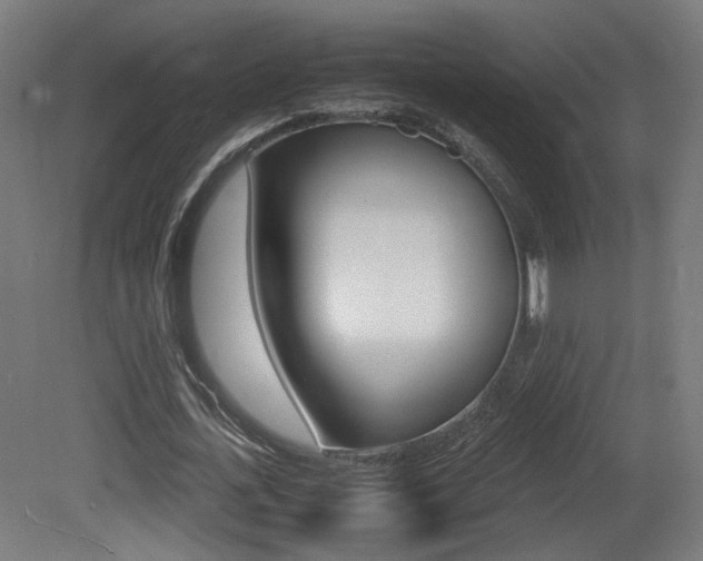 X0000081350723200701111105
