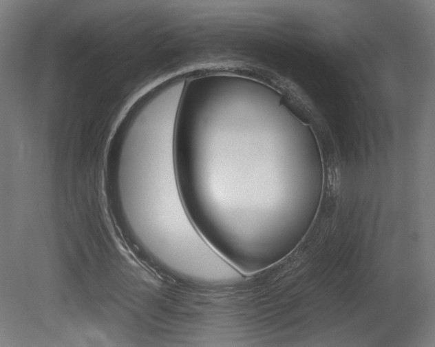 X0000081350724200701111105