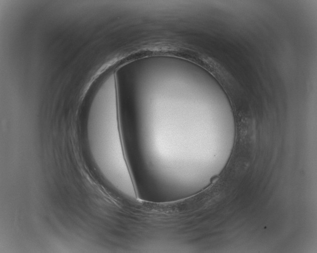 X0000081350727200701111105