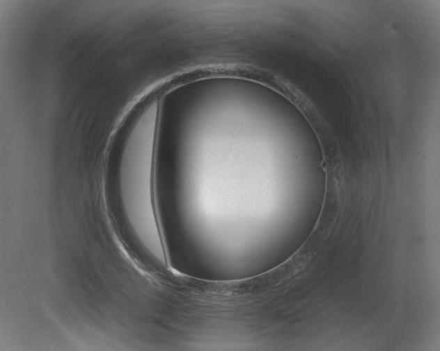 X0000081350728200701111105