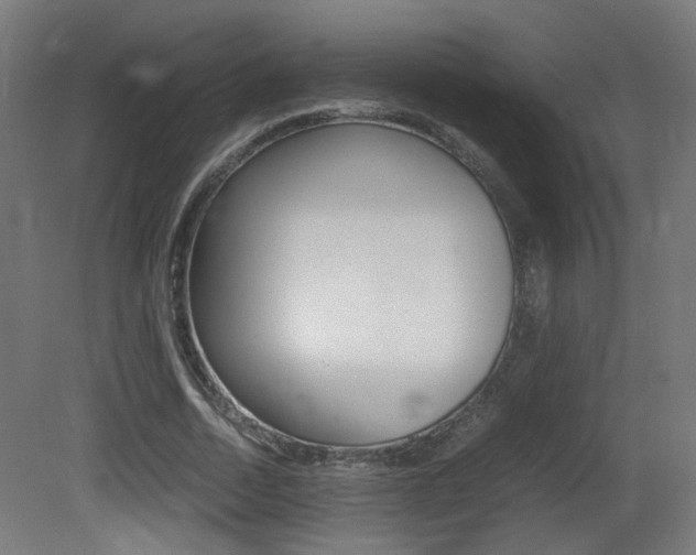 X0000081350730200701111105
