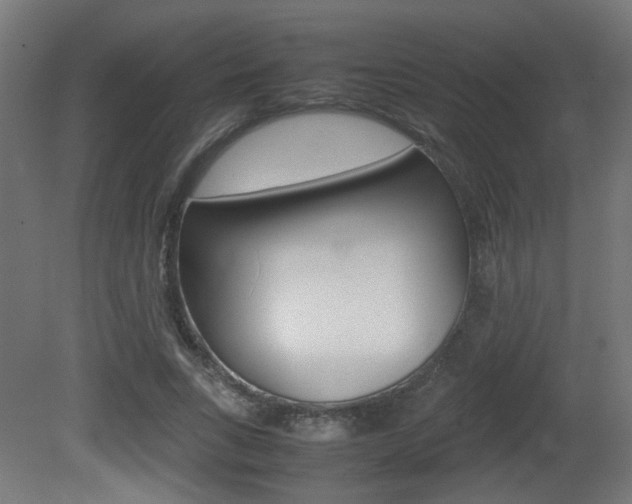 X0000081350735200701111105