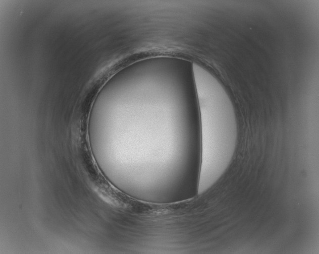 X0000081350736200701111105