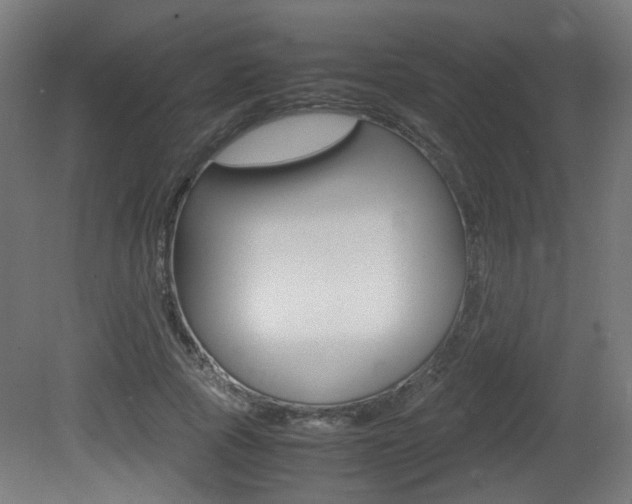 X0000081350737200701111105