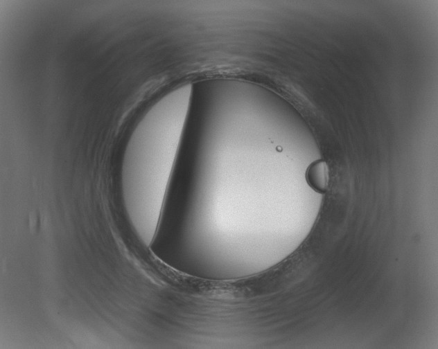 X0000081350738200701111105
