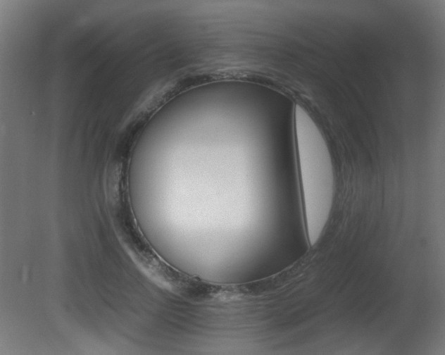 X0000081350742200701111105