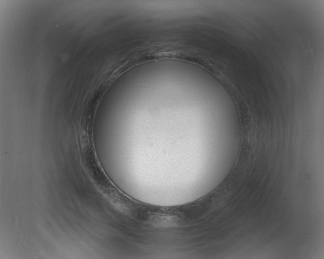 X0000081350743200701111105