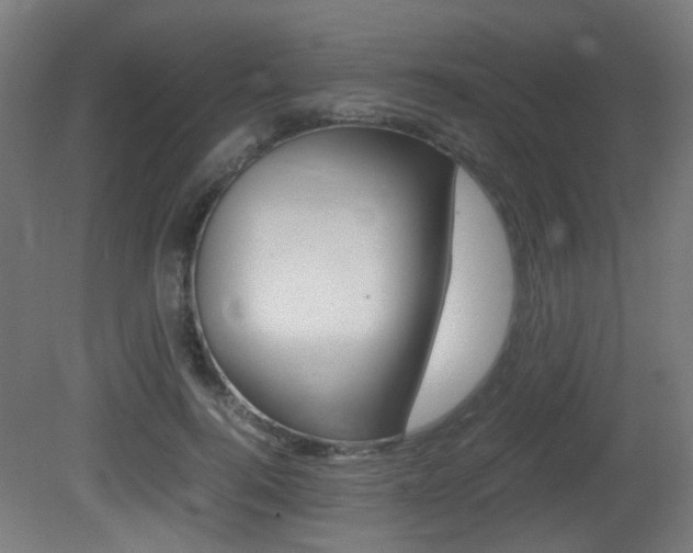 X0000081350744200701111105