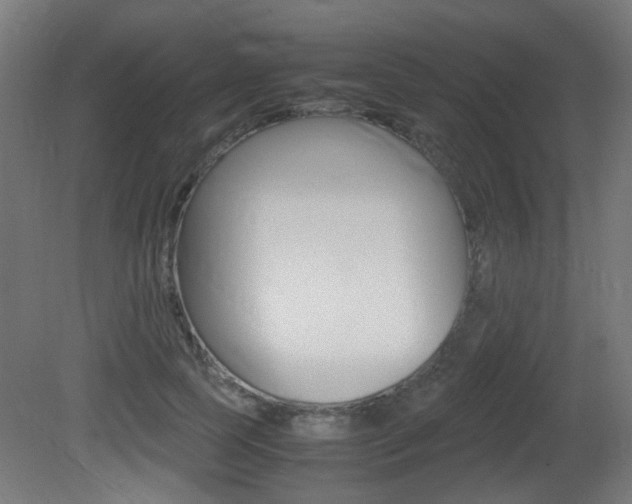 X0000081350745200701111105