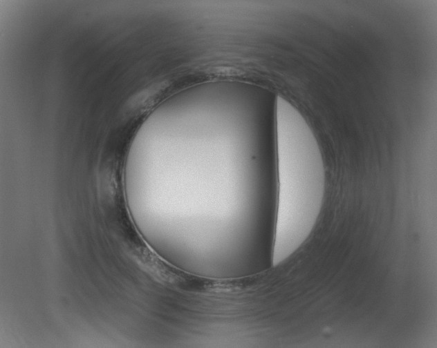 X0000081350746200701111105