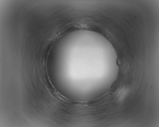 X0000081350747200701111105