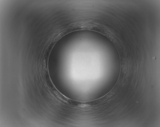 X0000081350748200701111105