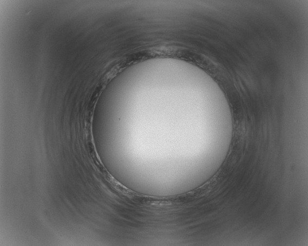 X0000081350749200701111105